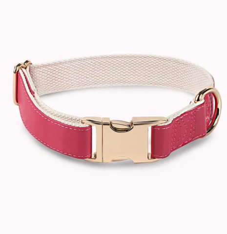 Chien d’Or Signature Collar