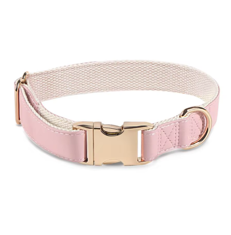 Chien d’Or Signature Collar