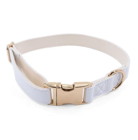 Chien d’Or Signature Collar