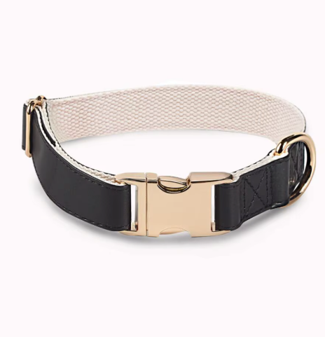 Chien d’Or Signature Collar