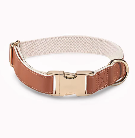Chien d’Or Signature Collar