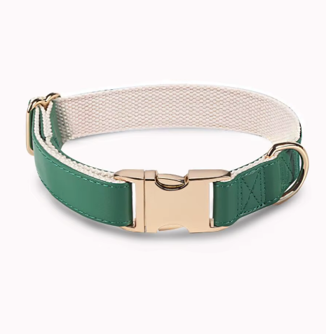 Chien d’Or Signature Collar