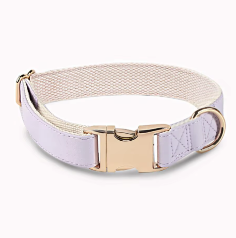 Chien d’Or Signature Collar
