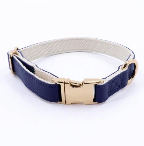 Chien d’Or Signature Collar