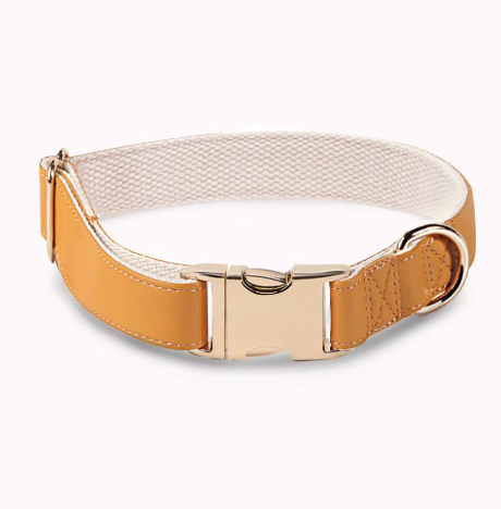Chien d’Or Signature Collar
