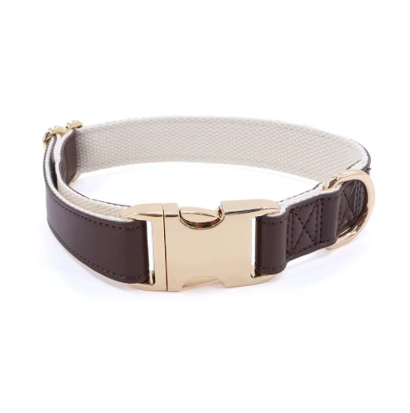 Chien d’Or Signature Collar