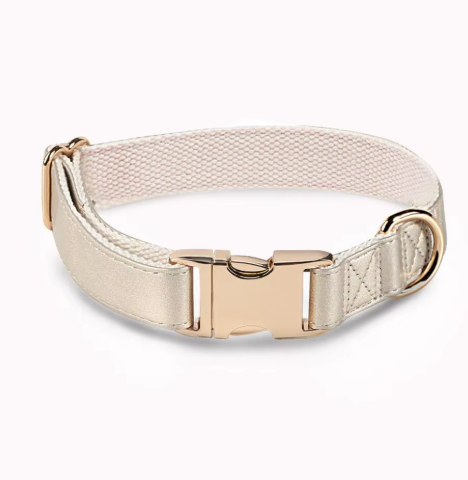 Chien d’Or Signature Collar