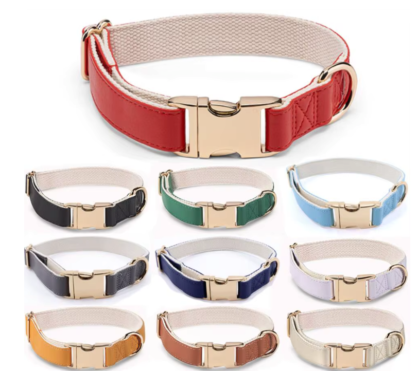 Chien d’Or Signature Collar