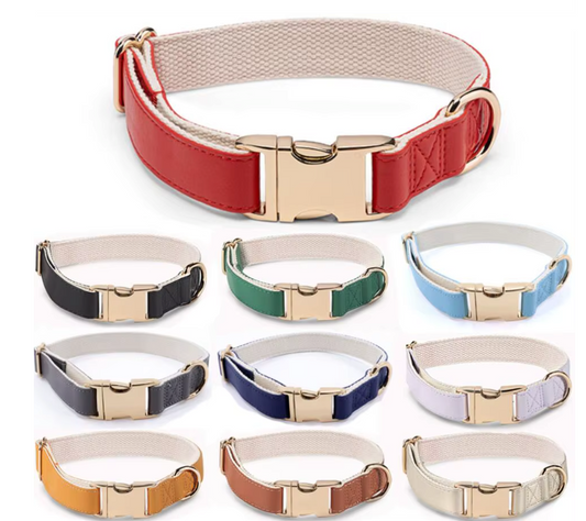 Chien d’Or Signature Collar